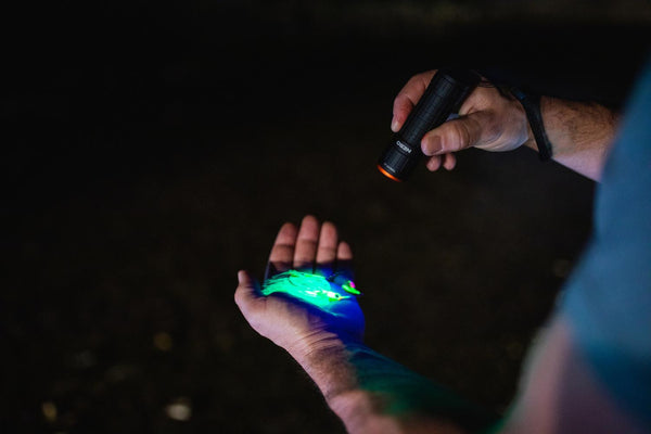 Linterna Torchy UV y BlackLight con tecnología UV-A de doble banda