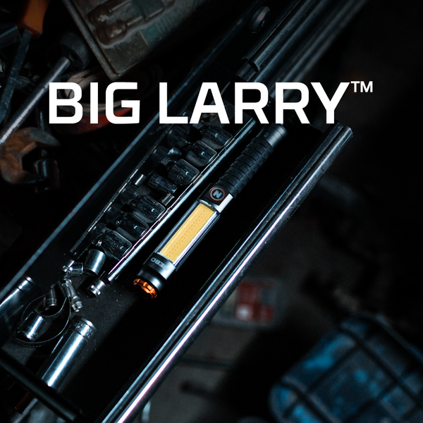 Linterna de Mano NEBO Big Larry™3 600 Lúmenes